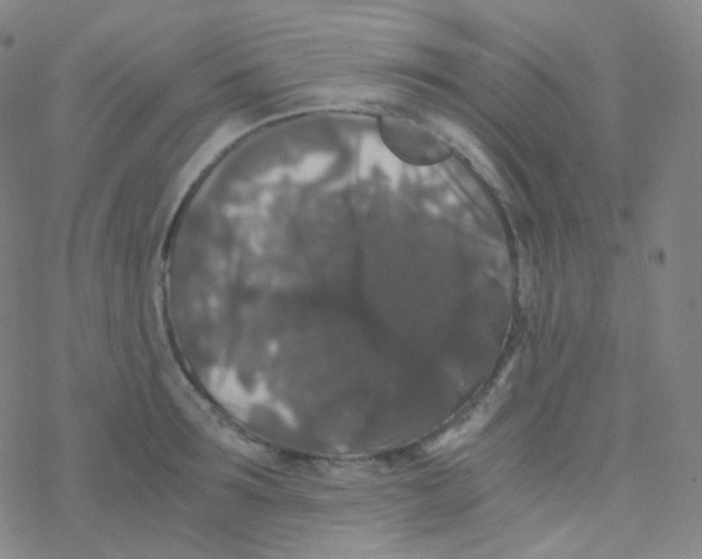 X0000076270899200610262027