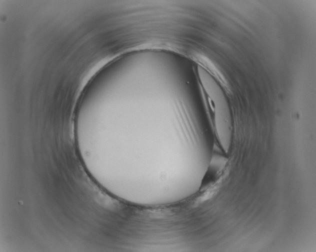 X0000076270900200610262027