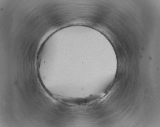 X0000076270902200610262027