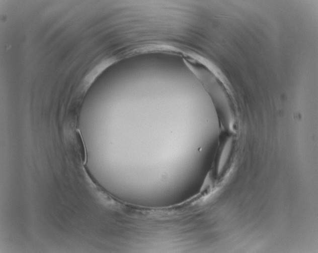 X0000076270905200610262027