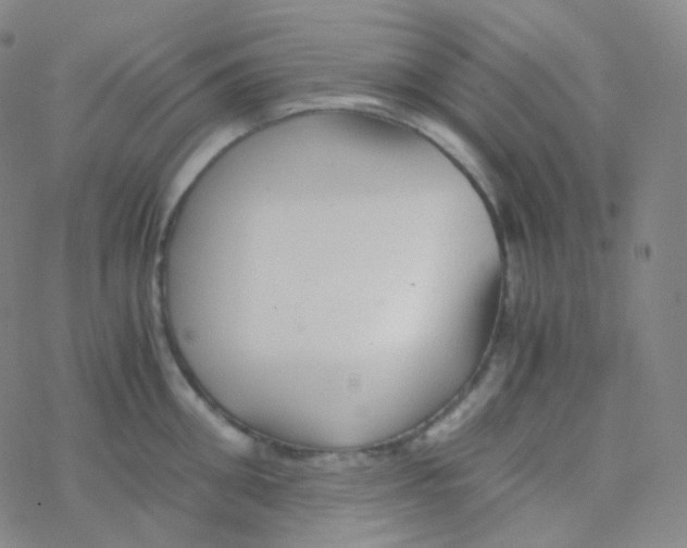 X0000076270906200610262027