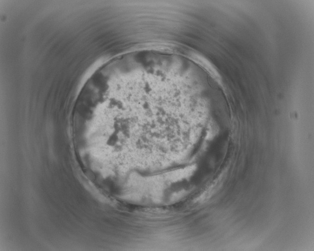 X0000076270907200610262027