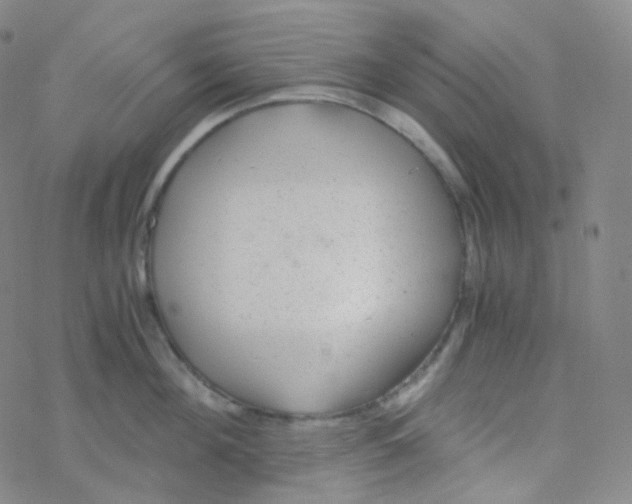 X0000076270908200610262027