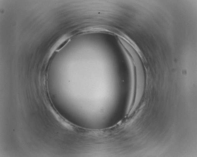 X0000076270909200610262027