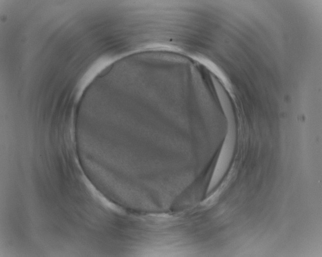 X0000076270910200610262027