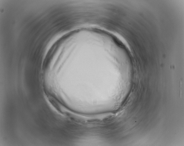 X0000076270911200610262027