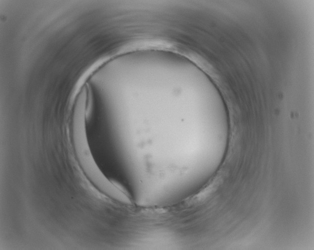 X0000076270912200610262027