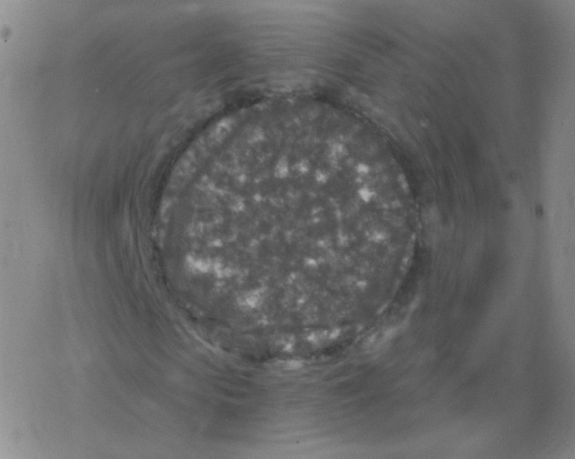 X0000076270913200610262026