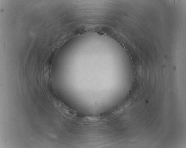 X0000076270914200610262026