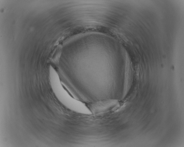 X0000076270916200610262026