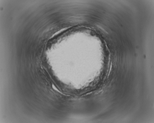 X0000076270917200610262026