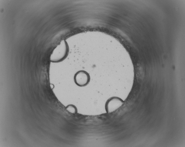 X0000076270918200610262026