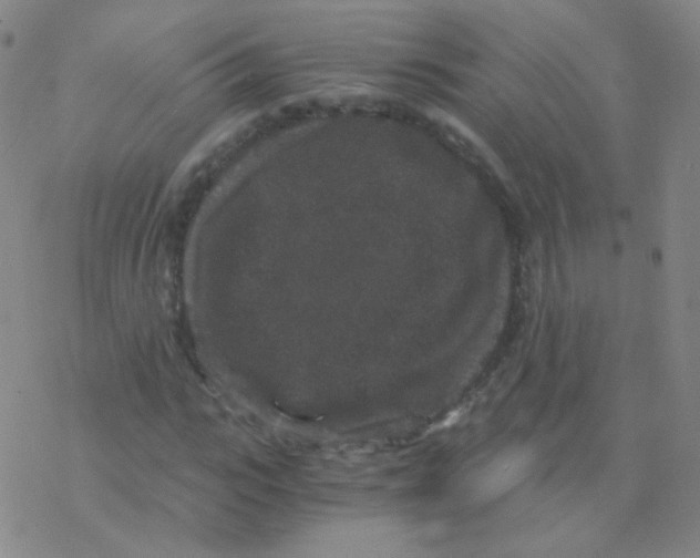 X0000076270919200610262026