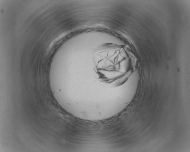 X0000076270920200610262026