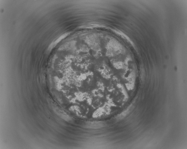 X0000076270921200610262026