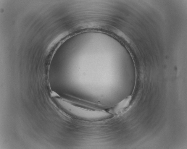 X0000076270922200610262026