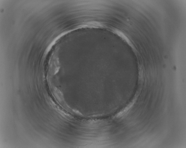 X0000076270923200610262026