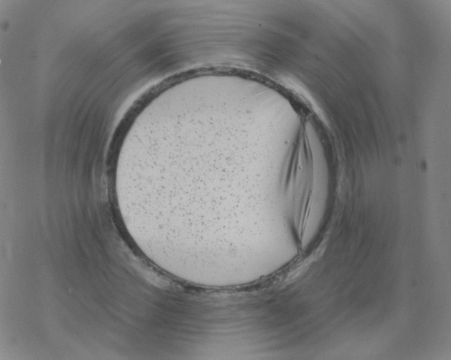 X0000076270924200610262026