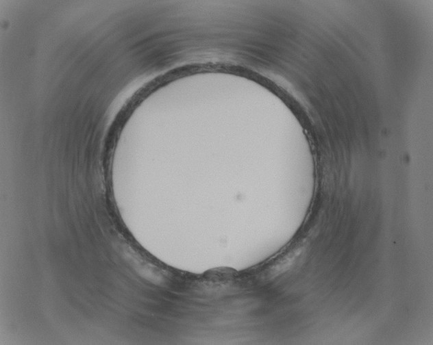 X0000076270927200610262026