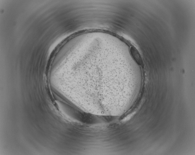 X0000076270928200610262026