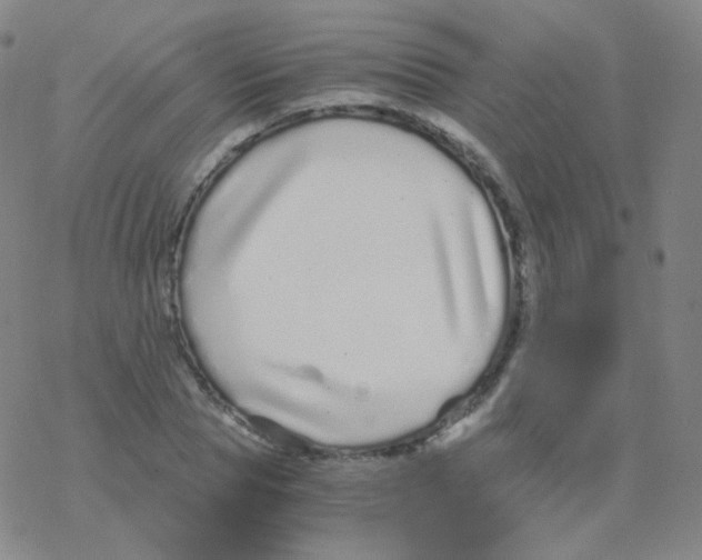 X0000076270929200610262026