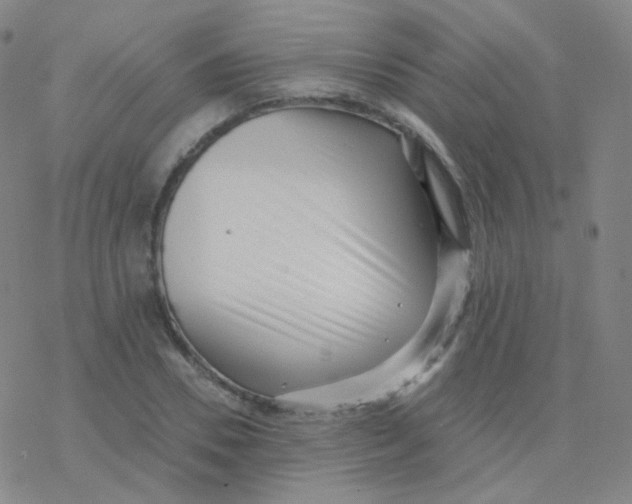 X0000076270930200610262027