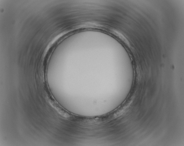 X0000076270931200610262027