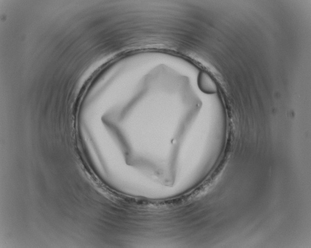 X0000076270933200610262027