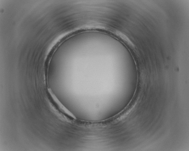 X0000076270934200610262027