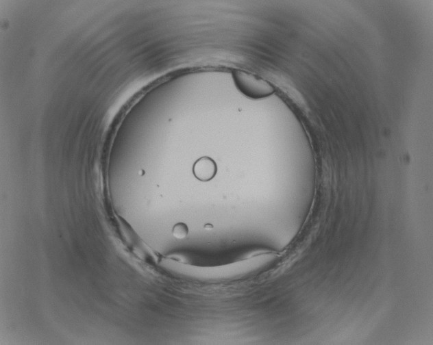 X0000076270936200610262027