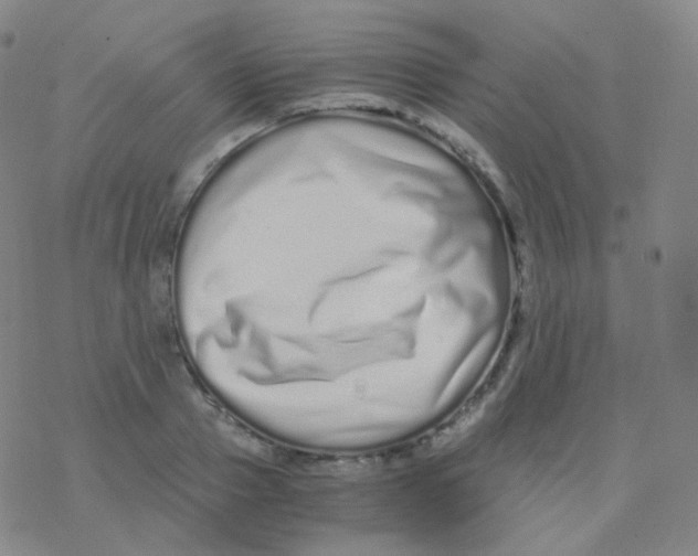 X0000076270937200610262027