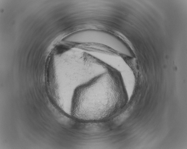 X0000076270938200610262027