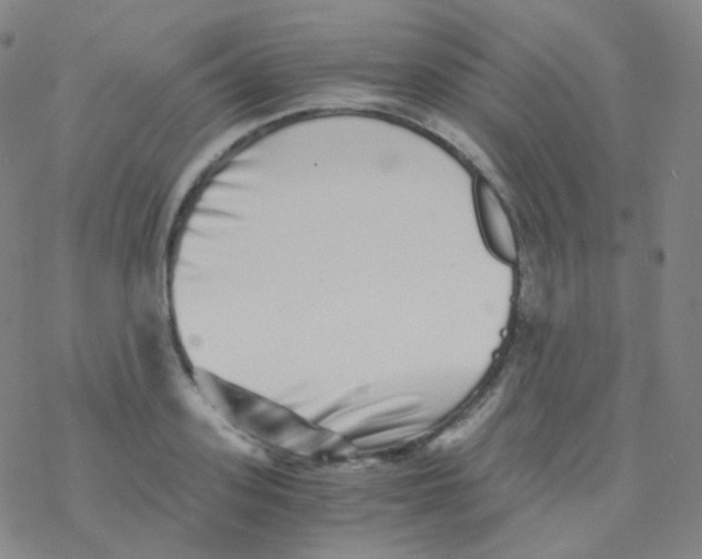 X0000076270939200610262027