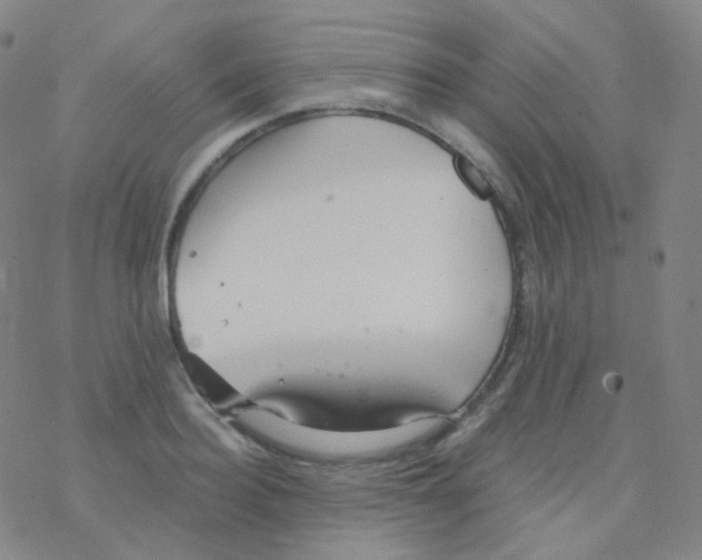 X0000076270940200610262027