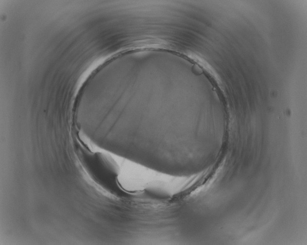 X0000076270941200610262027