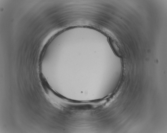 X0000076270942200610262027