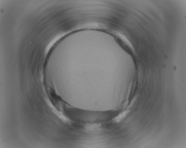 X0000076270944200610262027