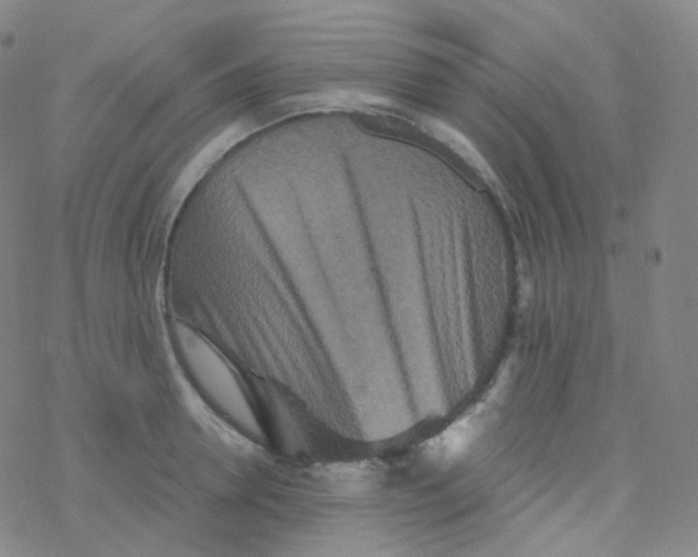 X0000076270946200610262027