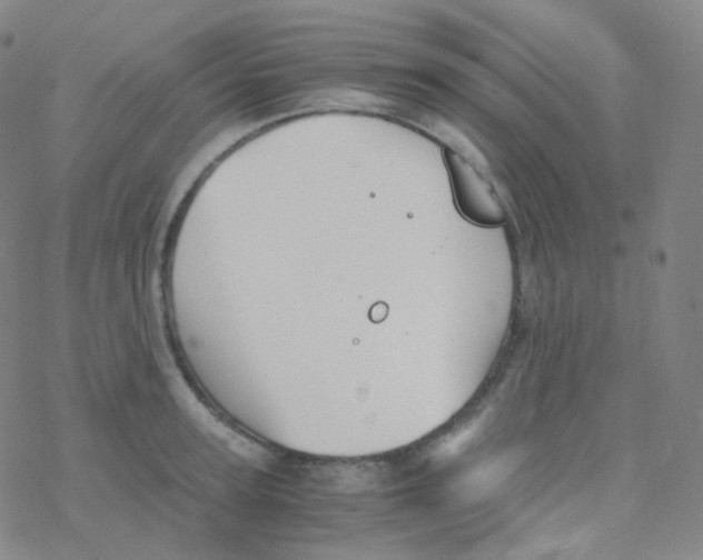 X0000076270947200610262027