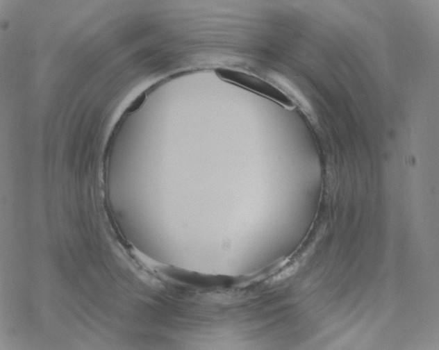 X0000076270948200610262027