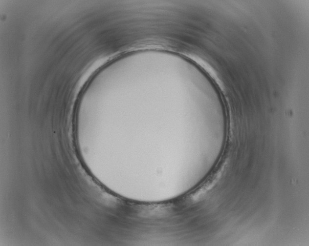 X0000076270949200610262027