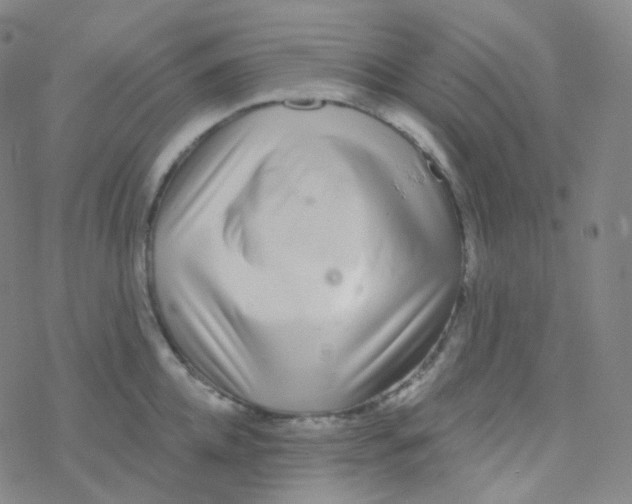 X0000076270952200610262027