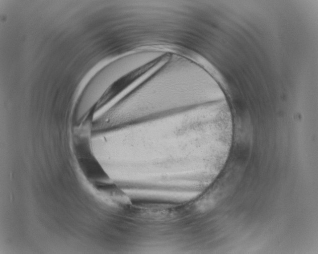 X0000076270955200610262027