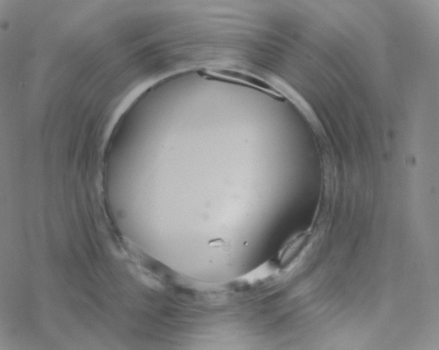 X0000076270956200610262027