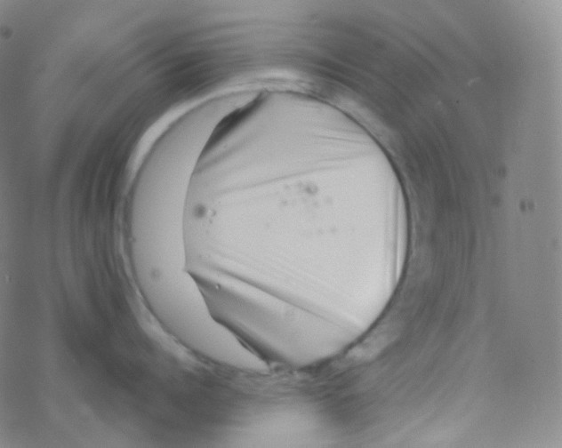 X0000076270960200610262027