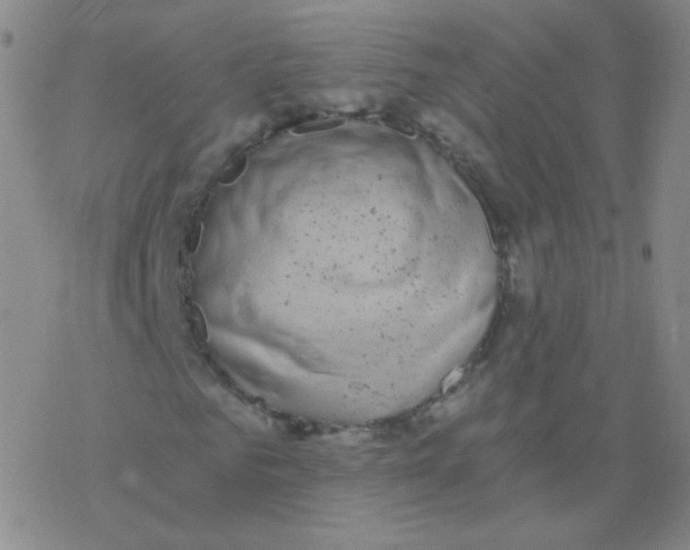 X0000076270961200610262026