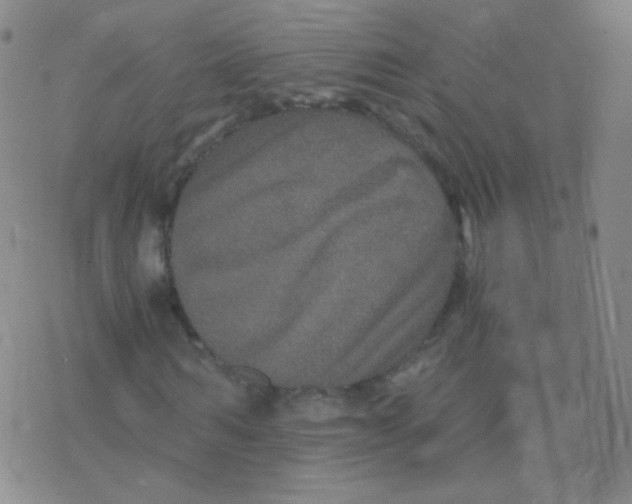 X0000076270962200610262026