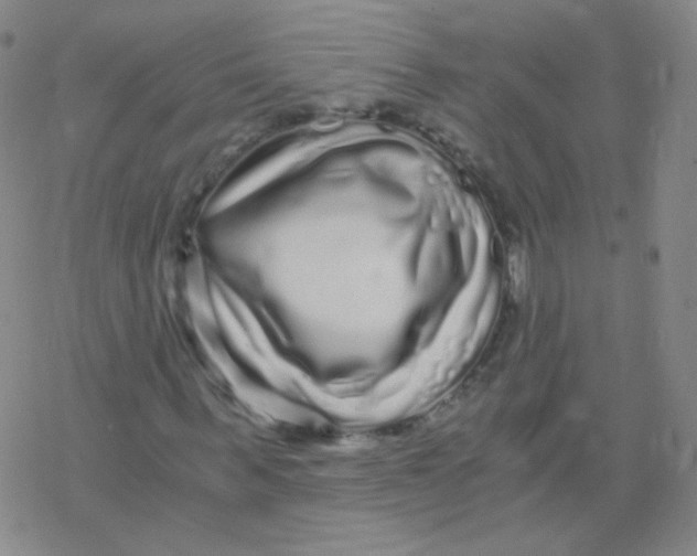 X0000076270963200610262026