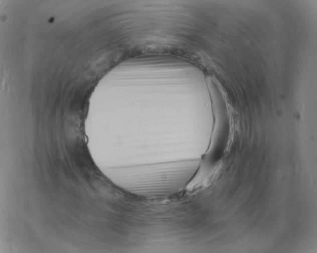 X0000076270964200610262026