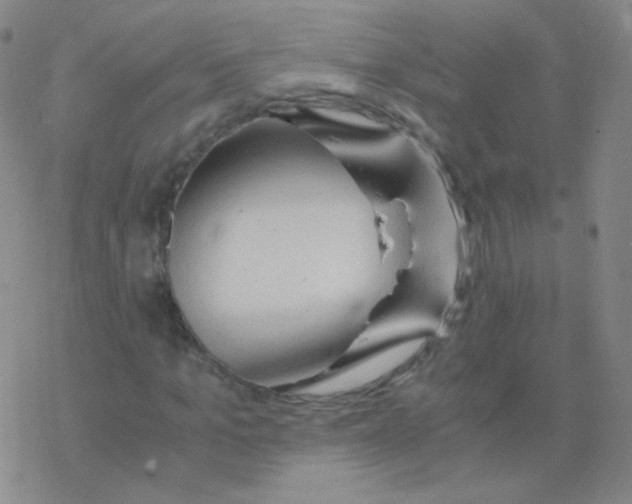 X0000076270965200610262026